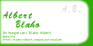 albert blaho business card